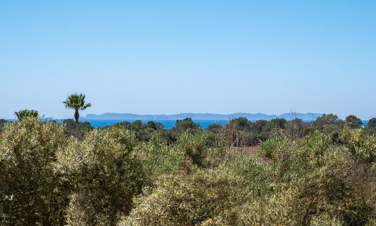 Vistas