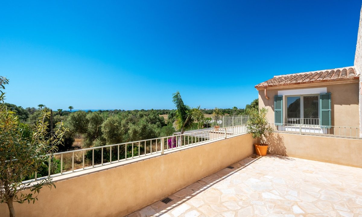 Terraza