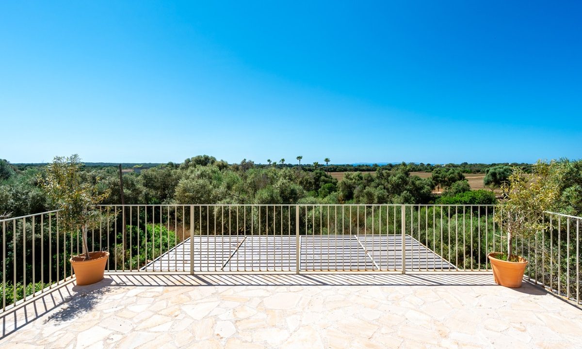 Terraza