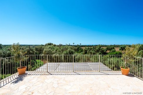 Terraza