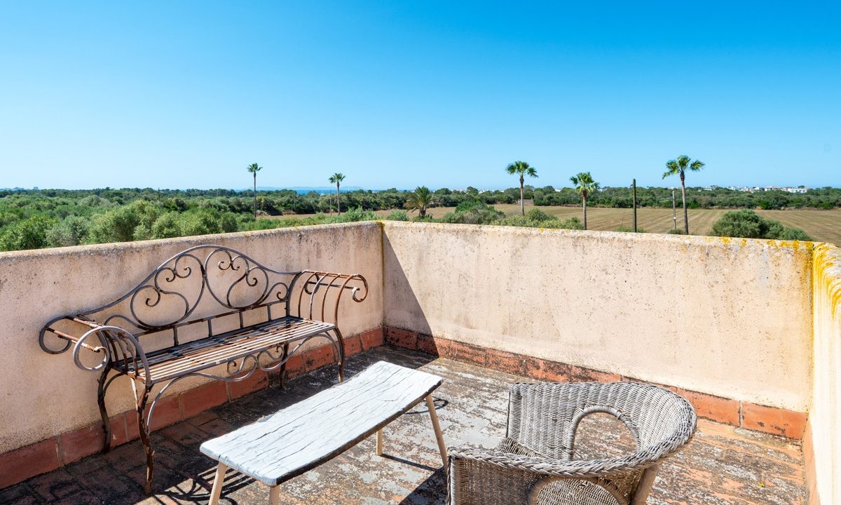 Terraza