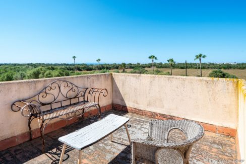 Terraza