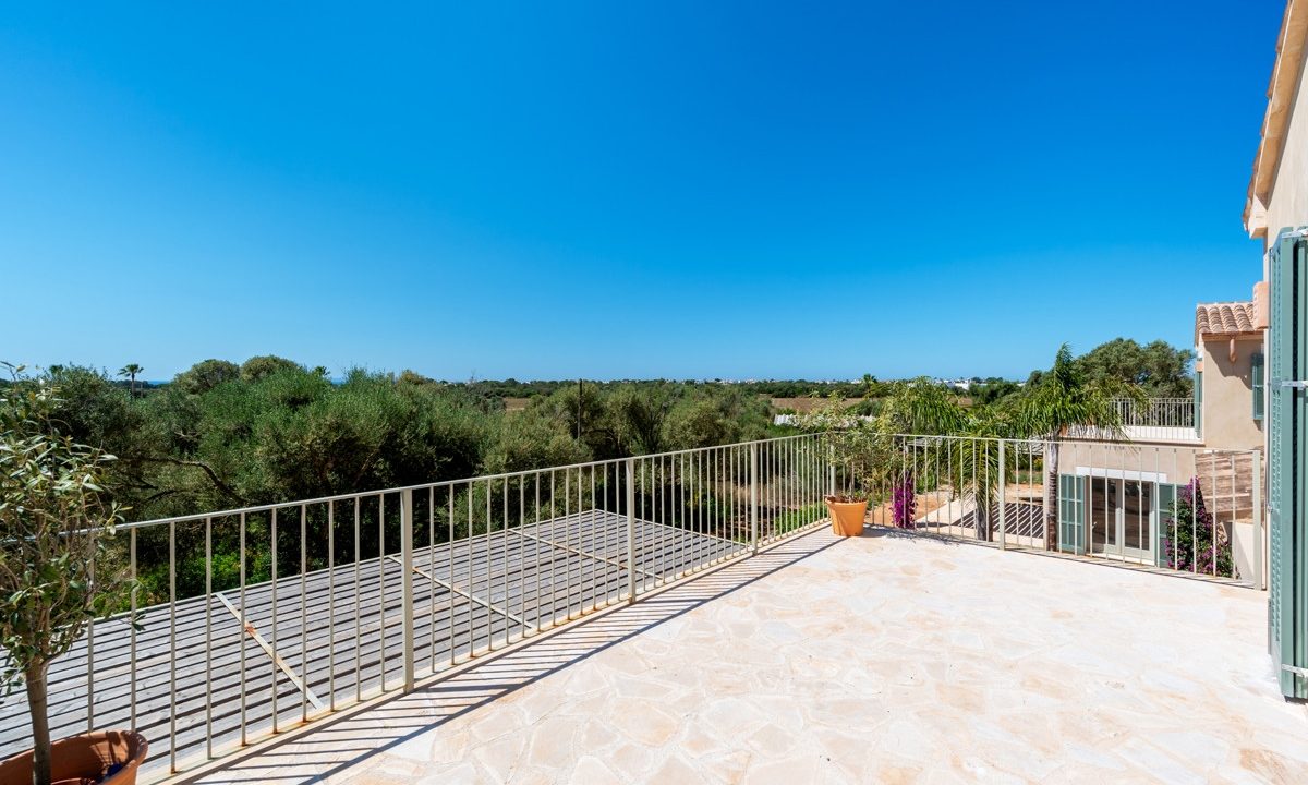 Terraza