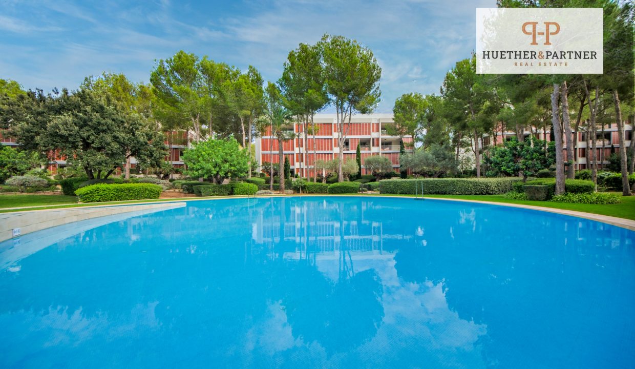 09ee7d22-54f8-493d-81a8-d6f3357297d3