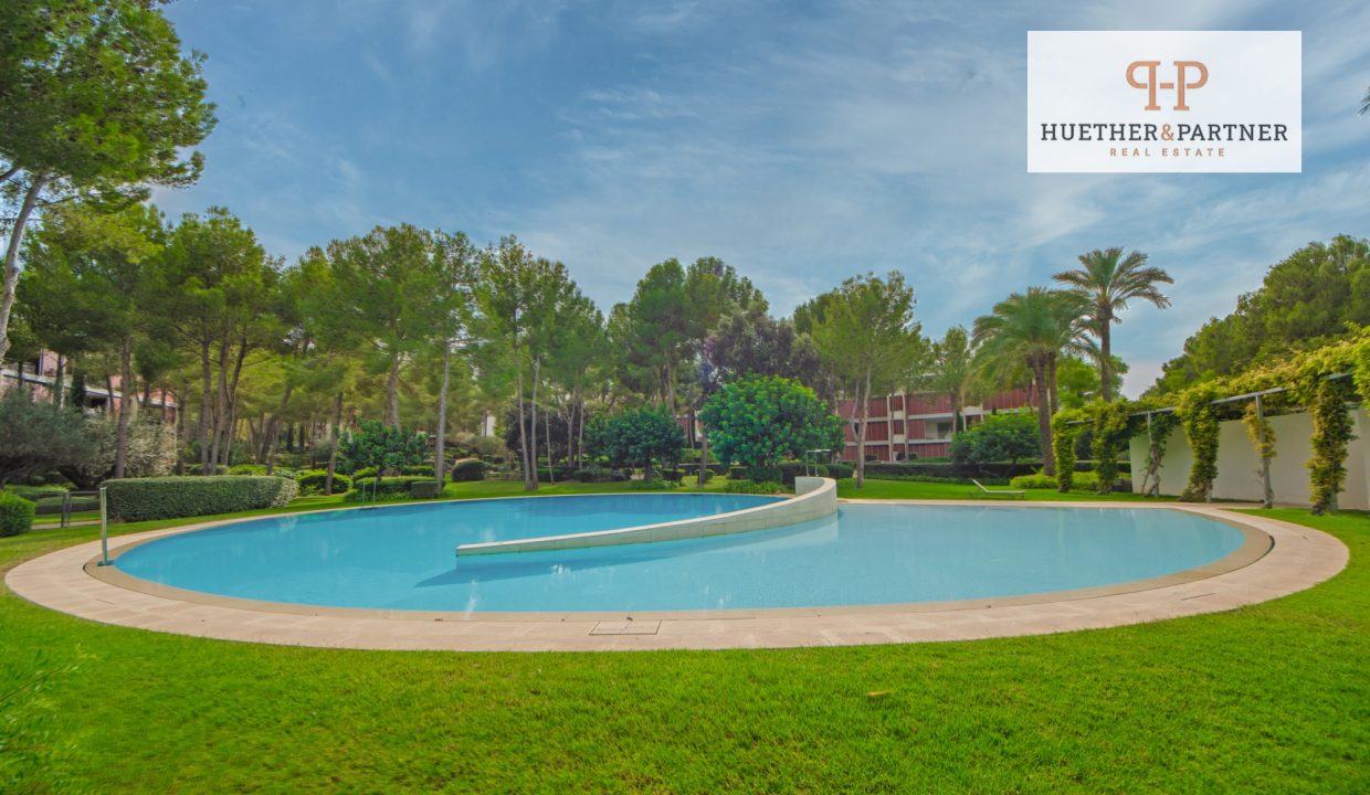 d195d4f3-92f7-4d13-bdd5-ef5b9e94b171