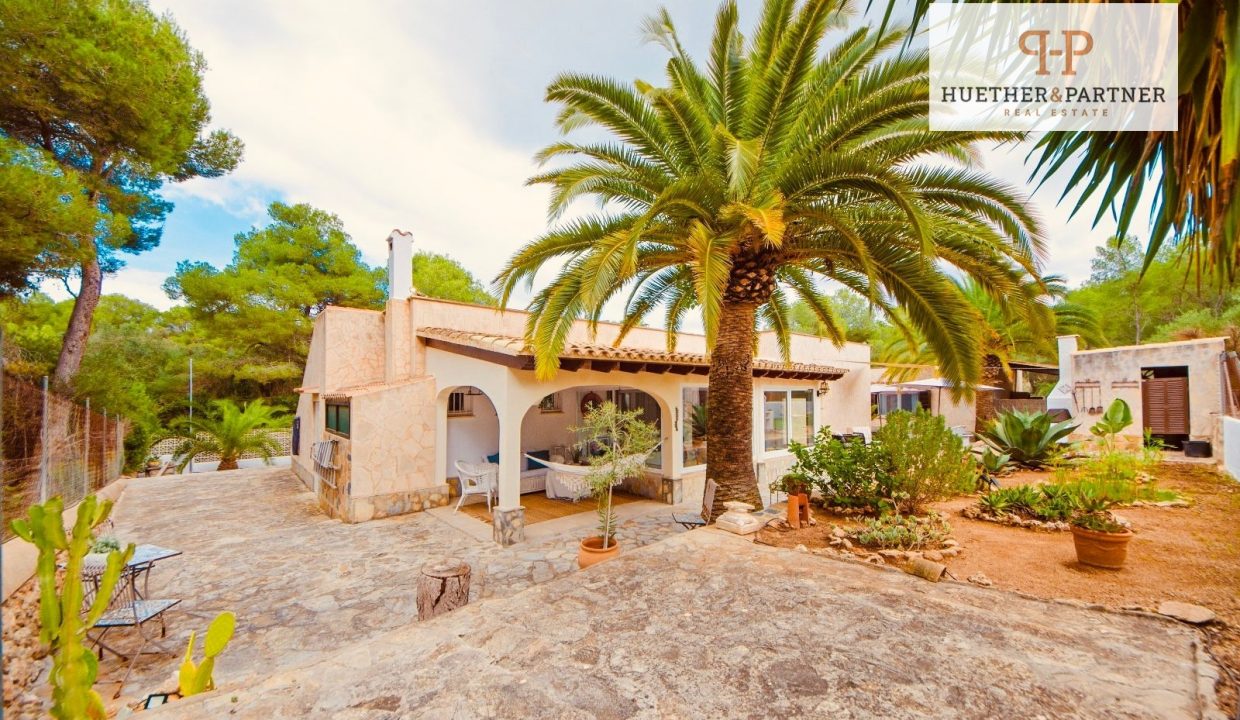 d63b6a24-a20a-43d0-8bb7-3166398b3f4e