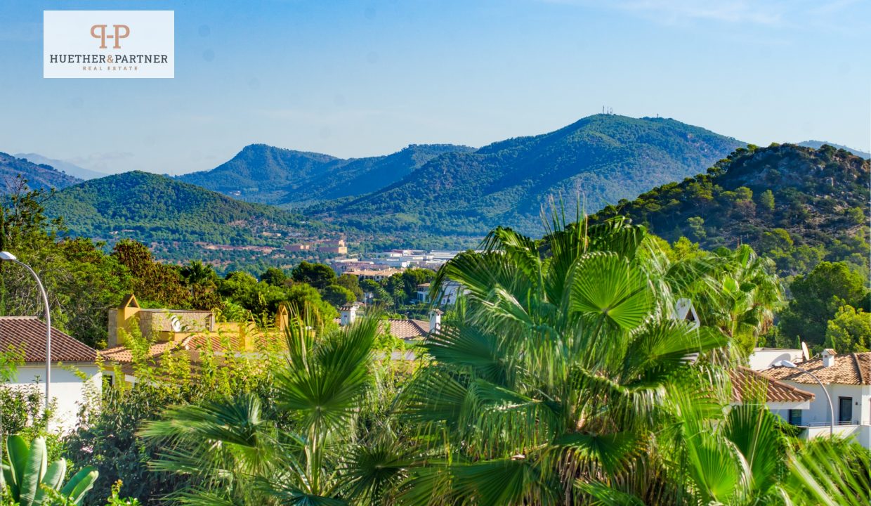 Blick auf die Berge und grüne Landschaft