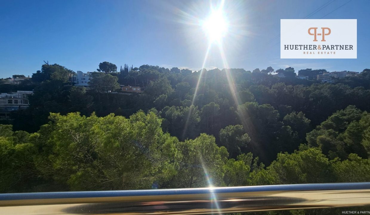 7a031ae2-723c-4a7c-8129-0df7f433c0ac