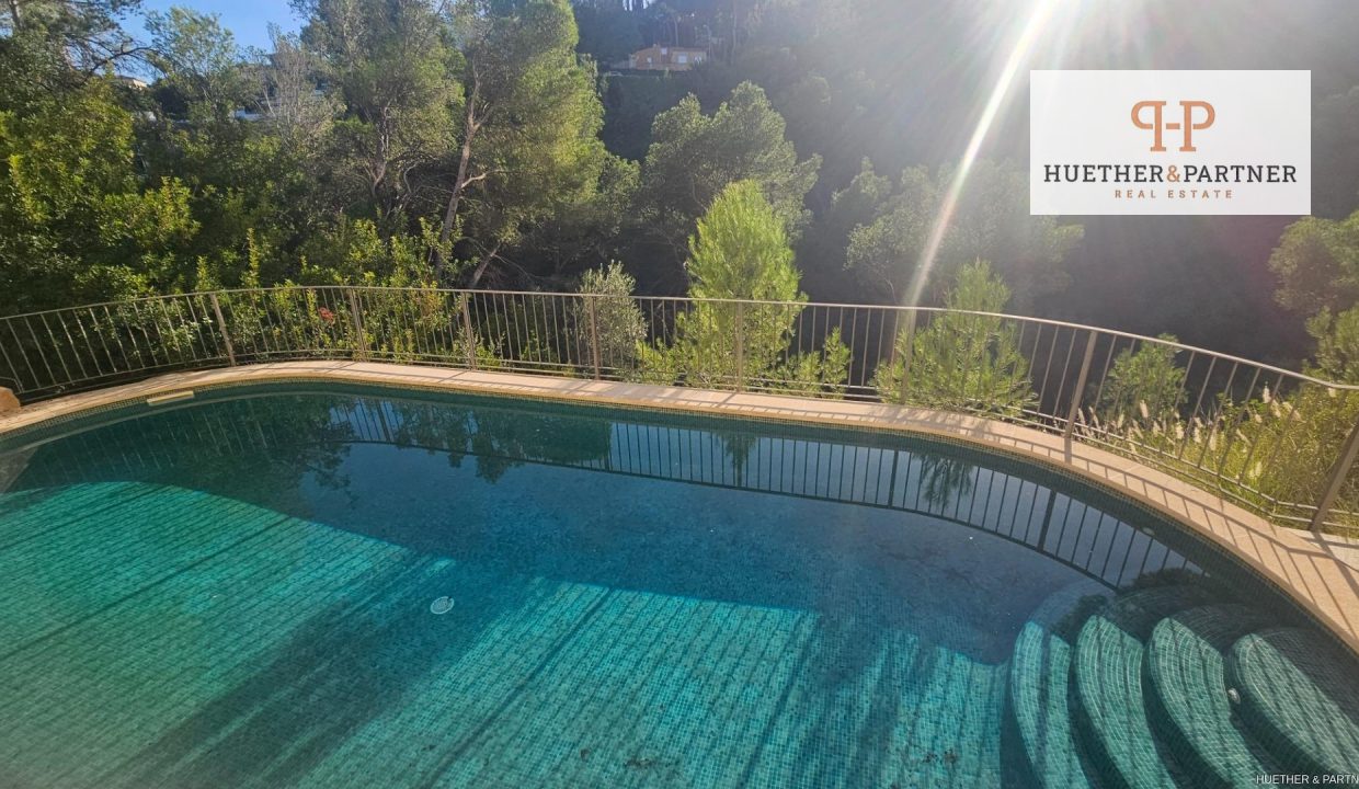 f911005c-835d-460c-8d82-490952c03c26