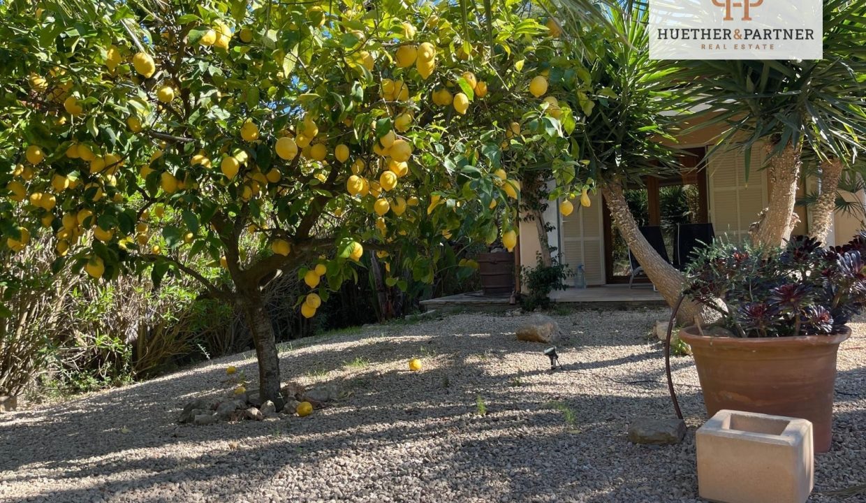 75d9a30f-83cf-469b-b7b2-c84b2b8f54b3