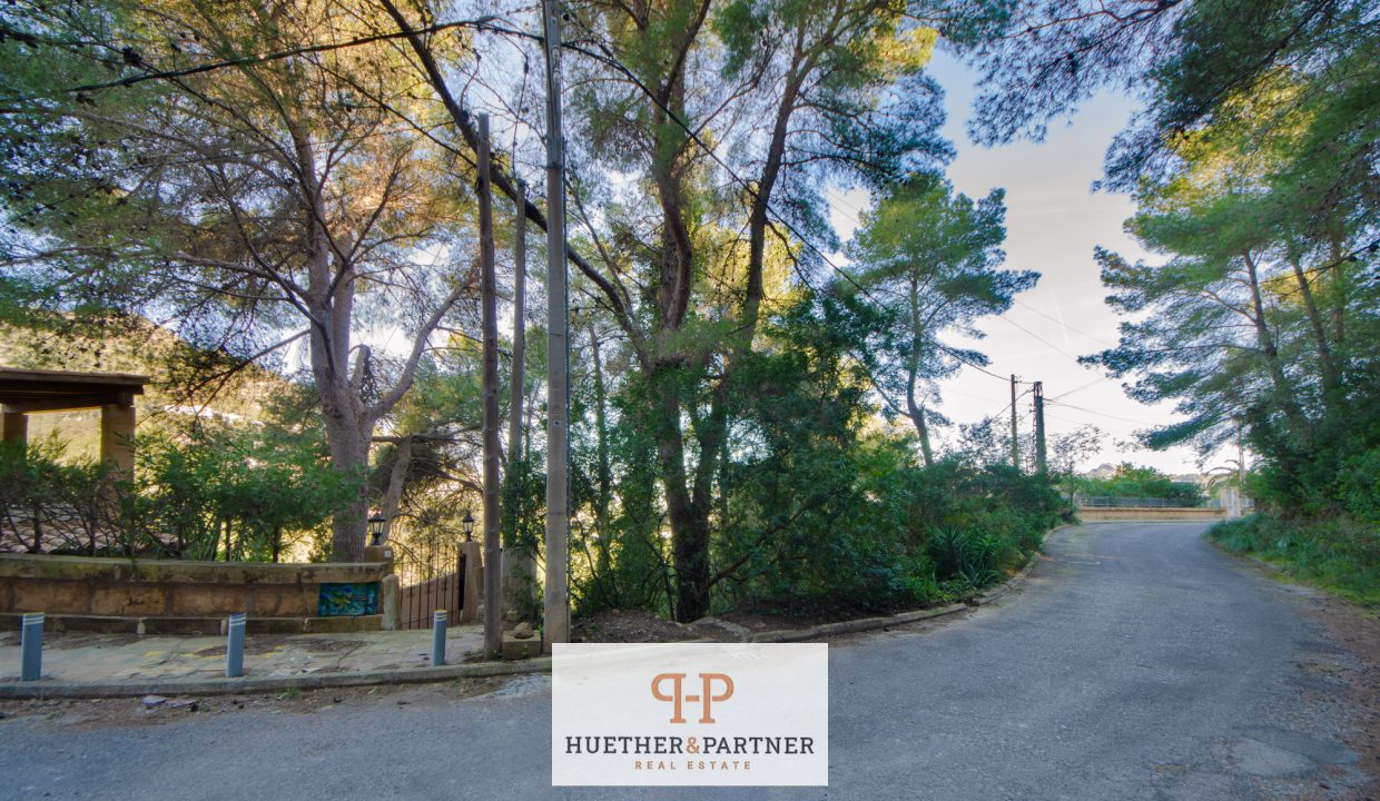 DSC_7531-Editar-Editar (1)