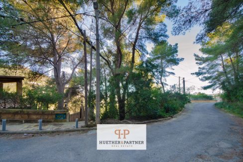 DSC_7531-Editar-Editar (1)